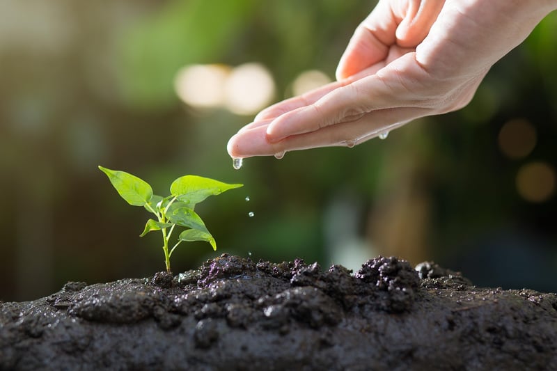 Gardening Crafts
