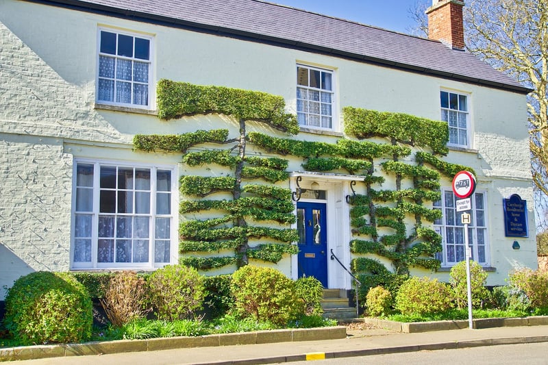 Trimmed Bushes